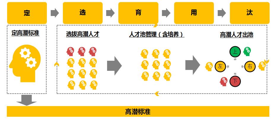 高潜人才培养系统成功运转的关键